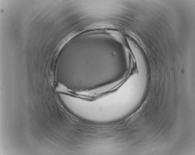 X0000070191465200606161538