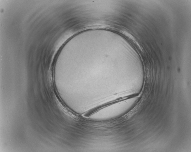 X0000070191466200606161538