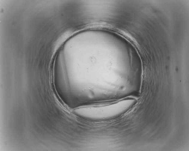 X0000070191467200606161538