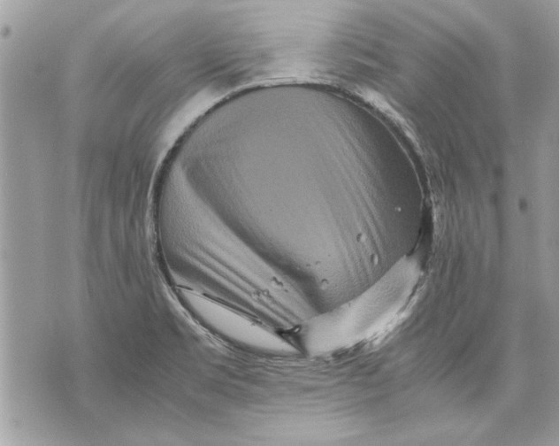 X0000070191469200606161538