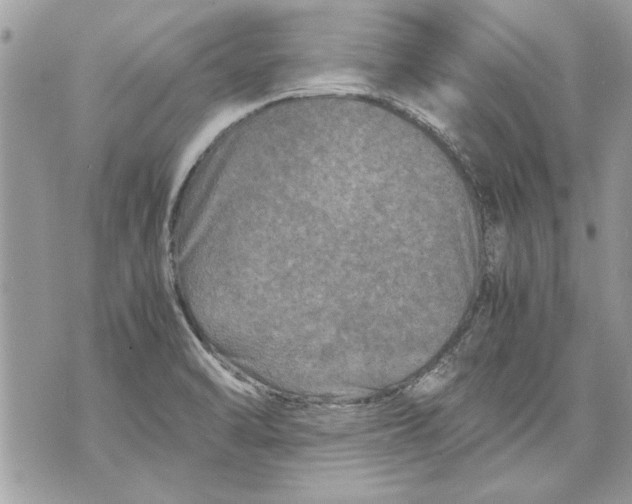 X0000070191470200606161538