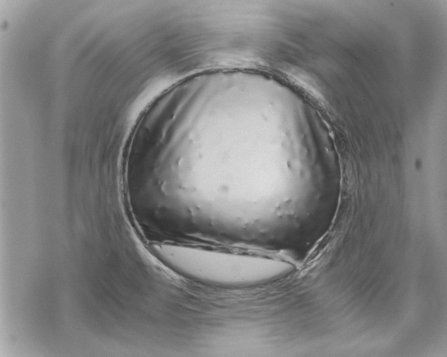 X0000070191471200606161538