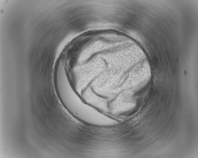 X0000070191472200606161538