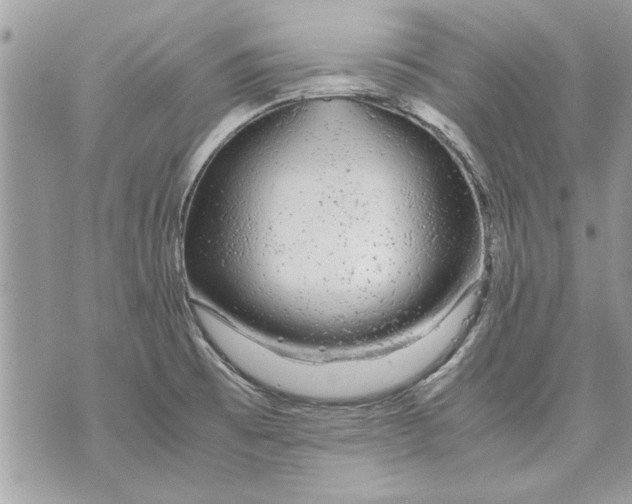 X0000070191473200606161538