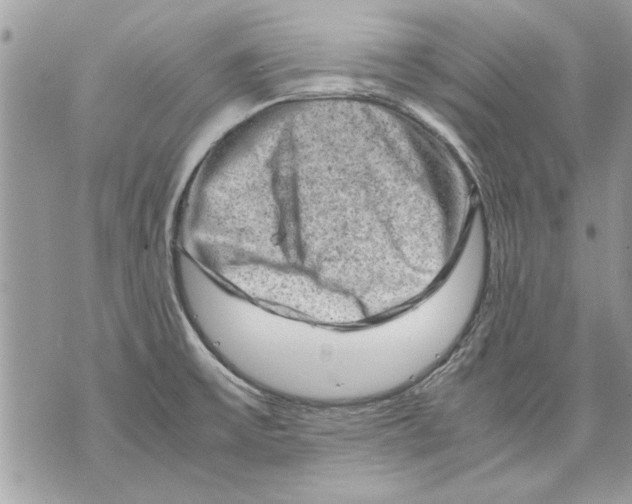 X0000070191475200606161538