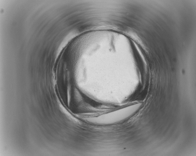 X0000070191476200606161538