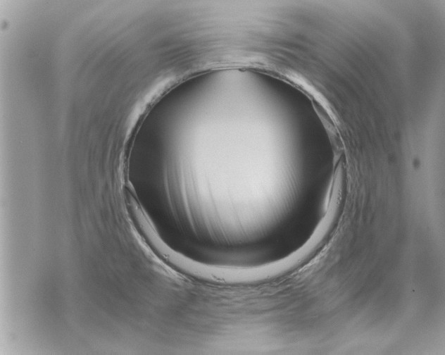 X0000070191477200606161538