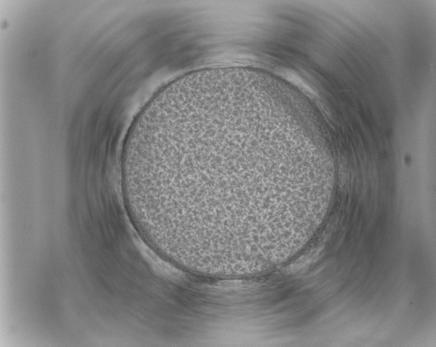 X0000070191478200606161538