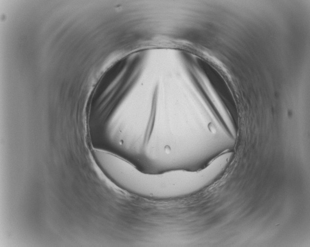 X0000070191479200606161538