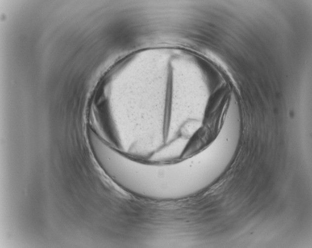 X0000070191480200606161538