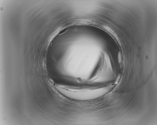 X0000070191481200606161538