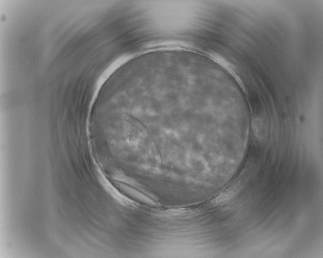 X0000070191482200606161538