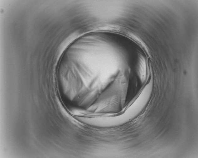 X0000070191483200606161538