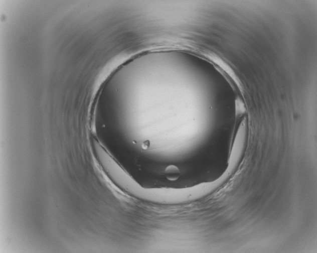 X0000070191485200606161538