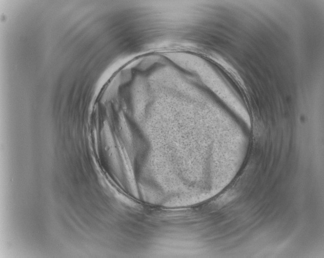 X0000070191486200606161538