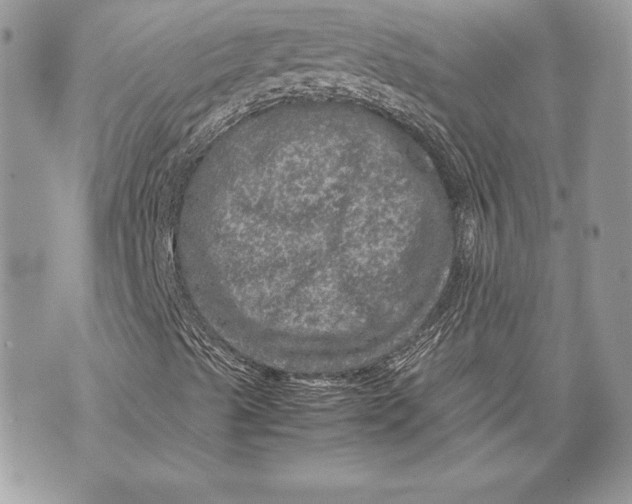 X0000070191489200606161537