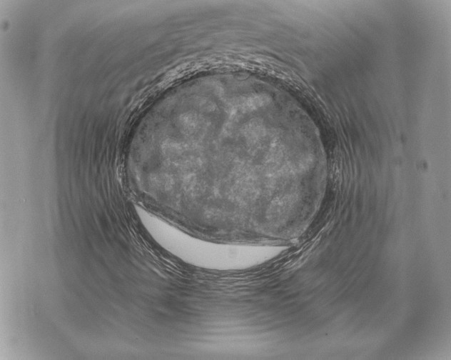 X0000070191490200606161537