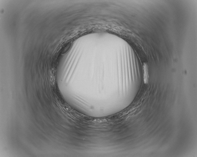 X0000070191491200606161537