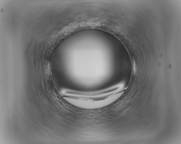 X0000070191492200606161537