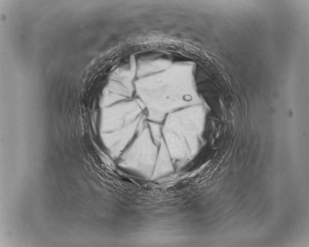 X0000070191493200606161537