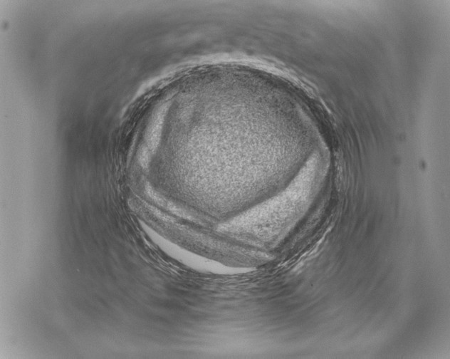 X0000070191494200606161537