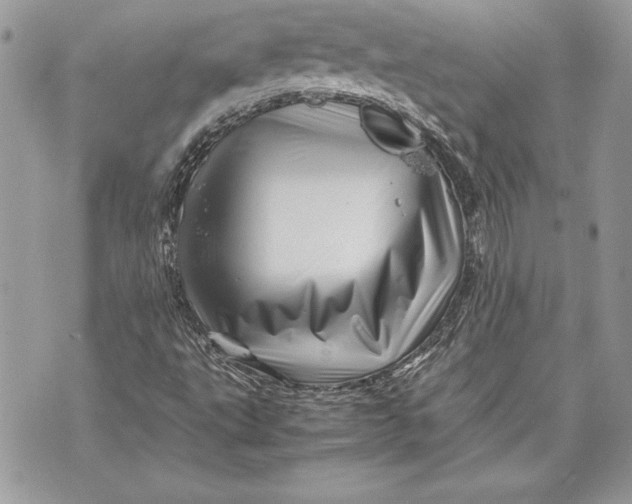 X0000070191495200606161537