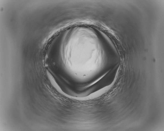 X0000070191496200606161537