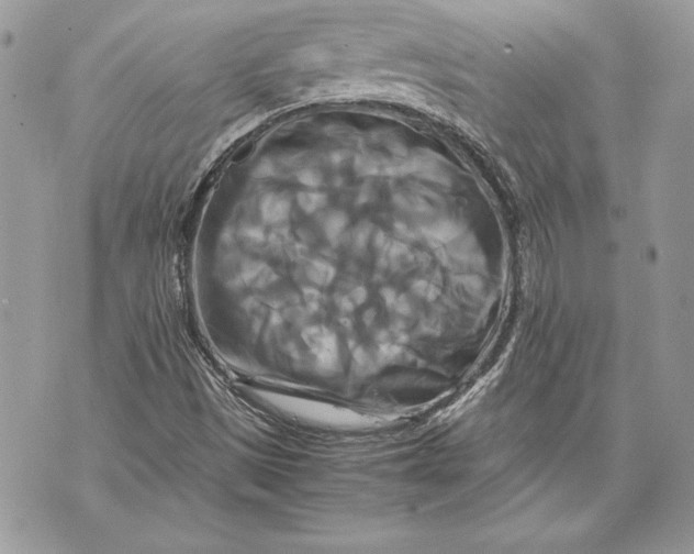 X0000070191497200606161537