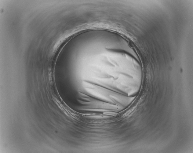 X0000070191499200606161537