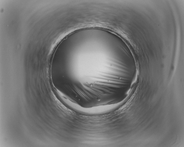 X0000070191500200606161537