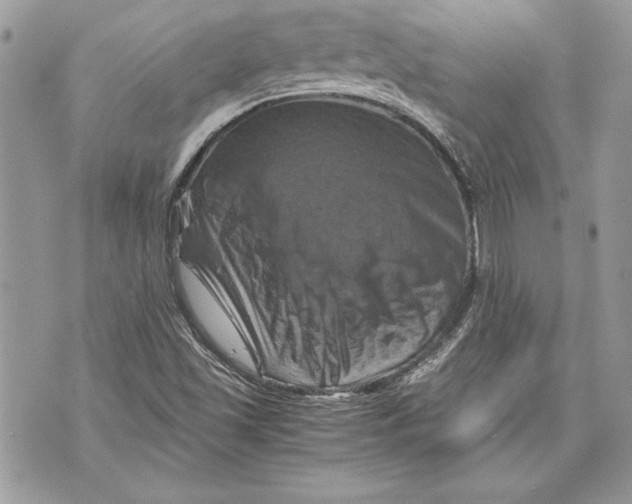 X0000070191501200606161537