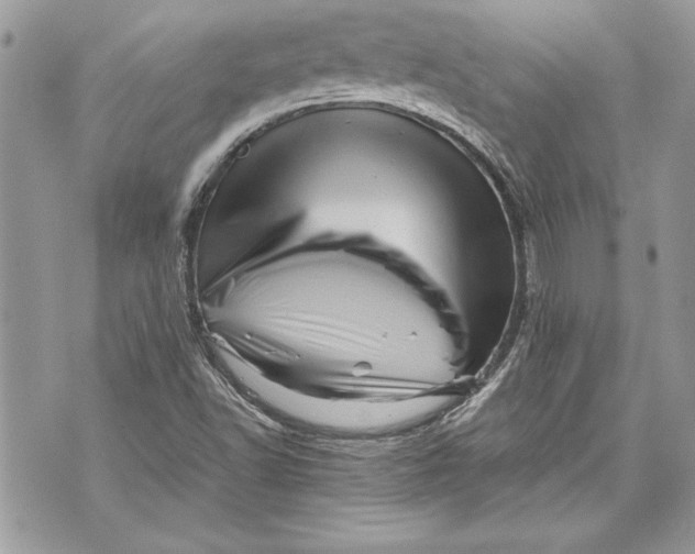 X0000070191502200606161537