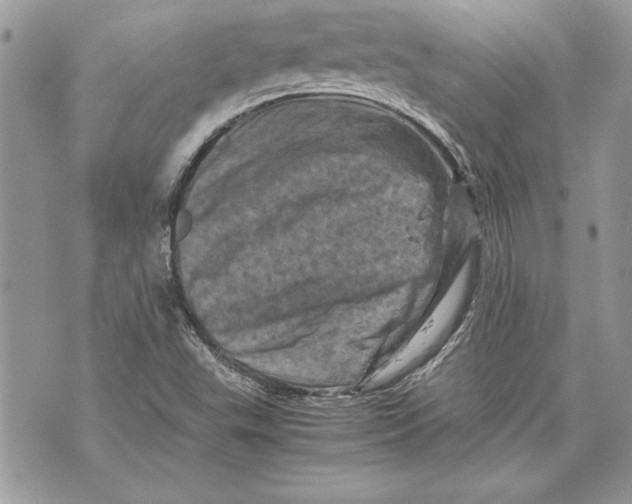 X0000070191503200606161537