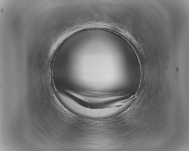 X0000070191504200606161537