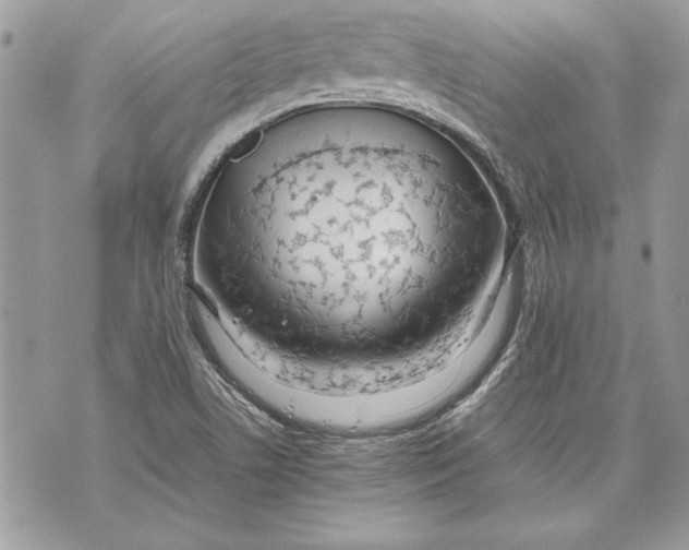 X0000070191506200606161537