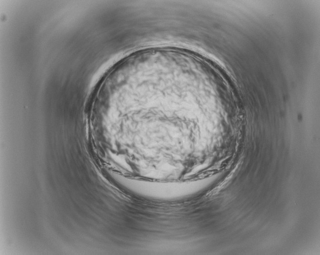 X0000070191509200606161537