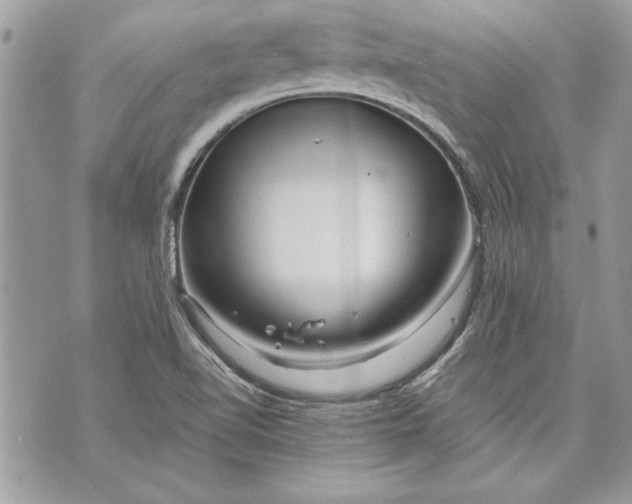 X0000070191510200606161537