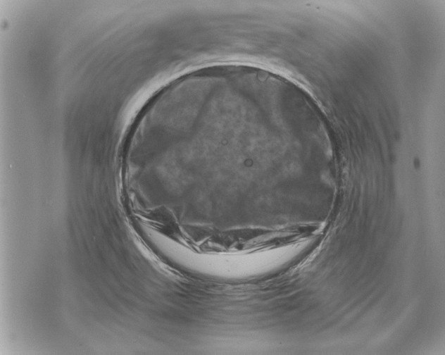 X0000070191511200606161537