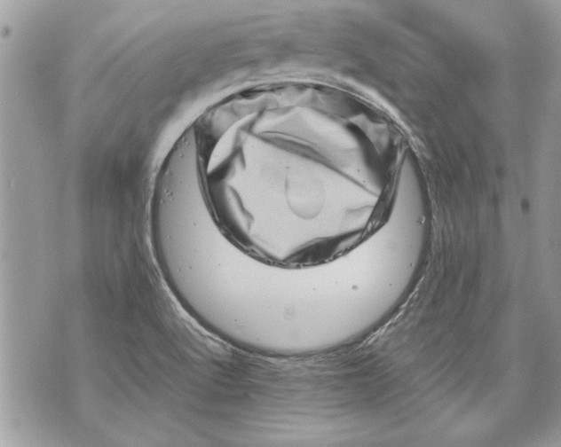 X0000070191512200606161537