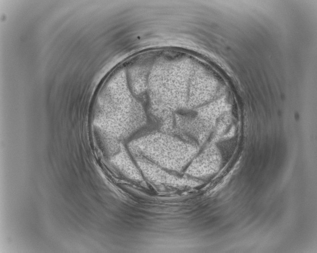 X0000070191513200606161537