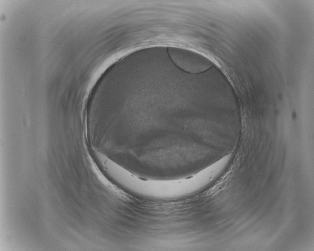 X0000070191515200606161537