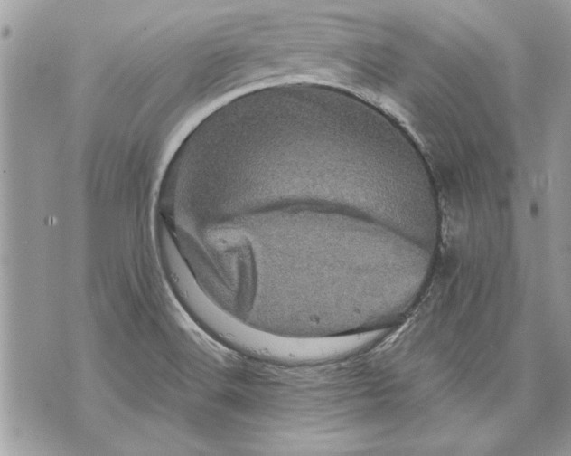 X0000070191516200606161537