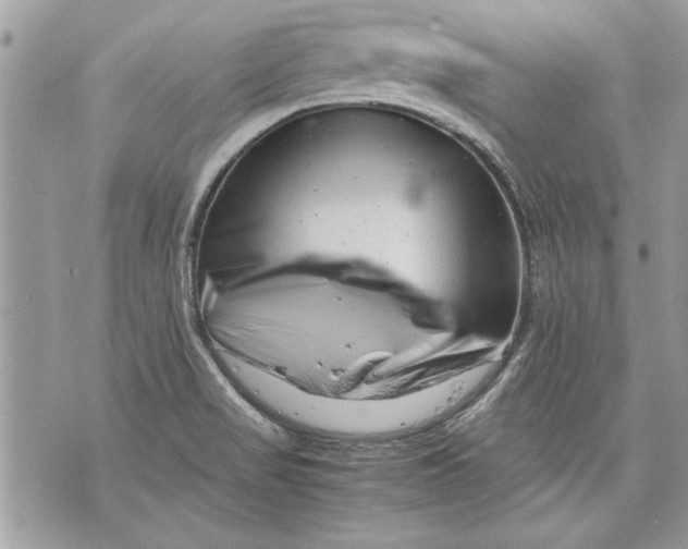 X0000070191517200606161537