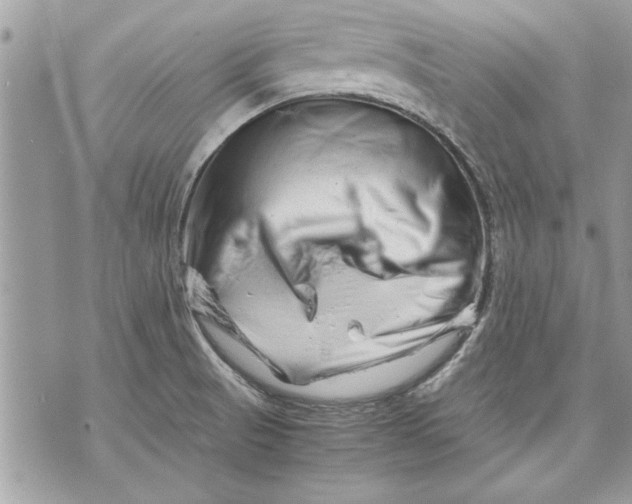 X0000070191521200606161538