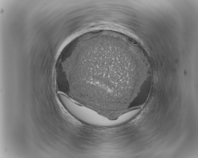 X0000070191522200606161538