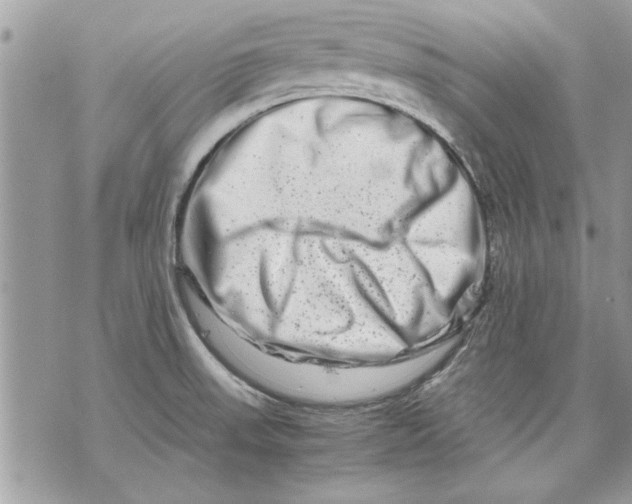 X0000070191523200606161538