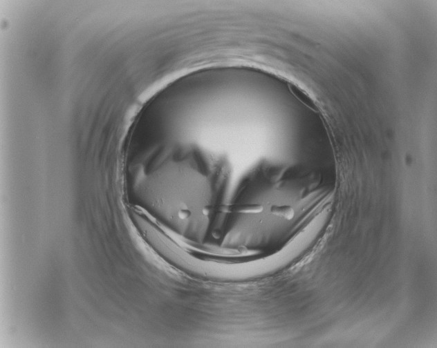 X0000070191526200606161538