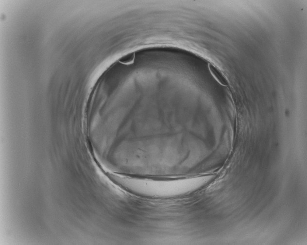 X0000070191527200606161538