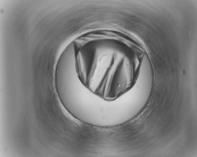 X0000070191528200606161538