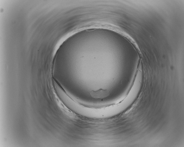 X0000070191530200606161538